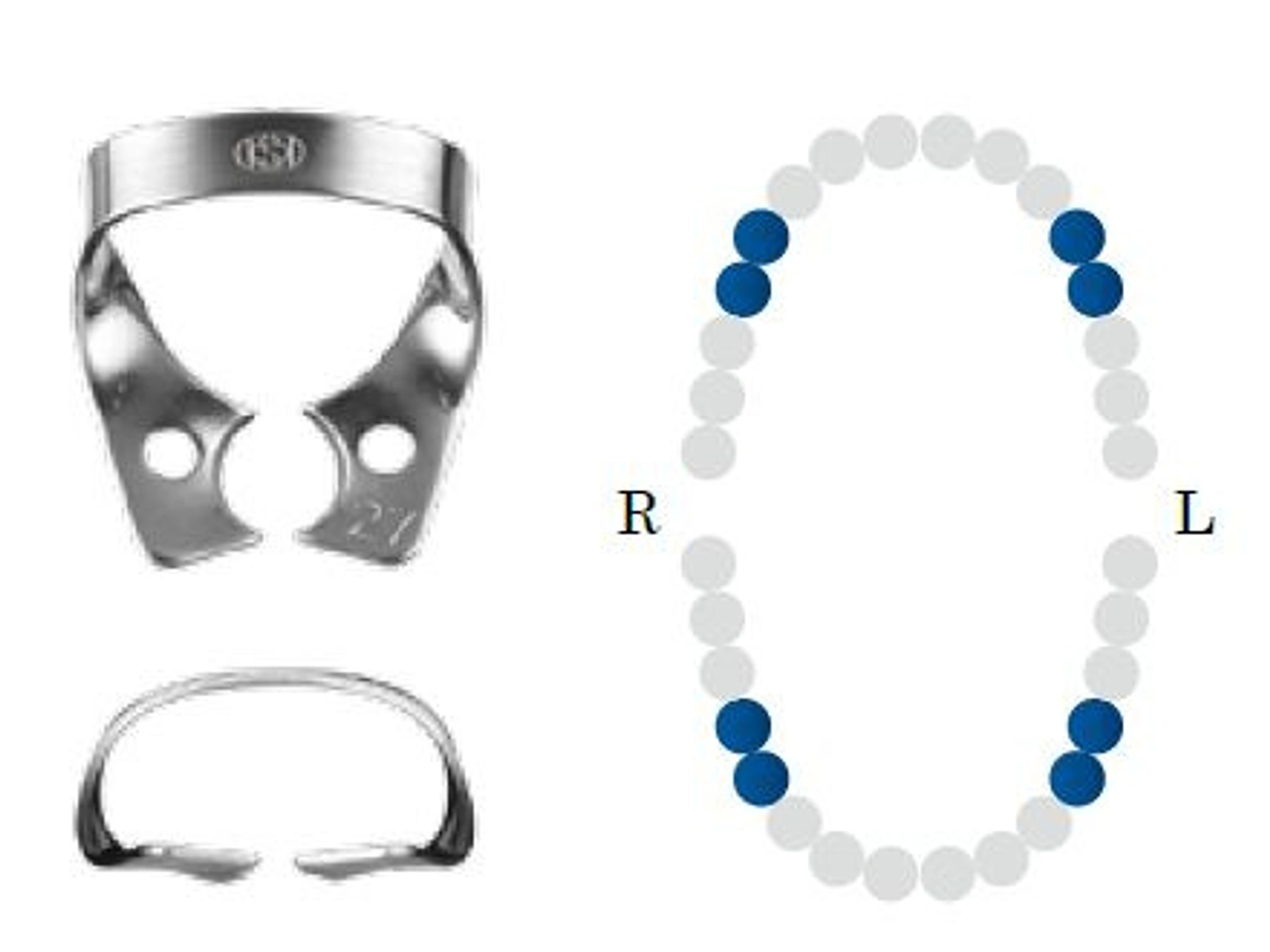 Koferdamo žiedas BF 27 black bicuspid DENTECH - oficiali Dentech produkto nuotrauka