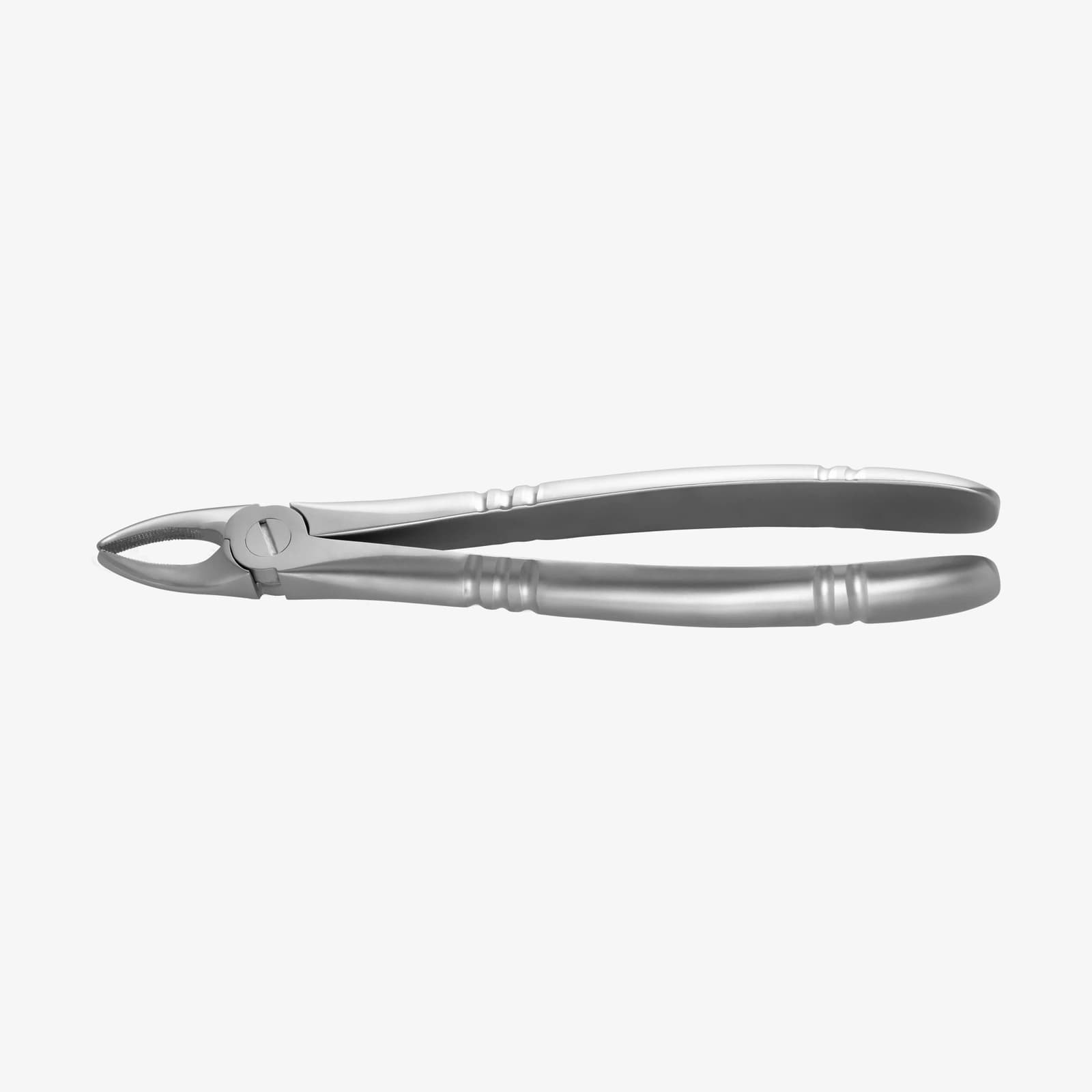 Extracting Forceps #2 with Non-Slip Profile for Upper Incisors and Canines, Ergonomic – oficiali American Eagle produkto nuotrauka
