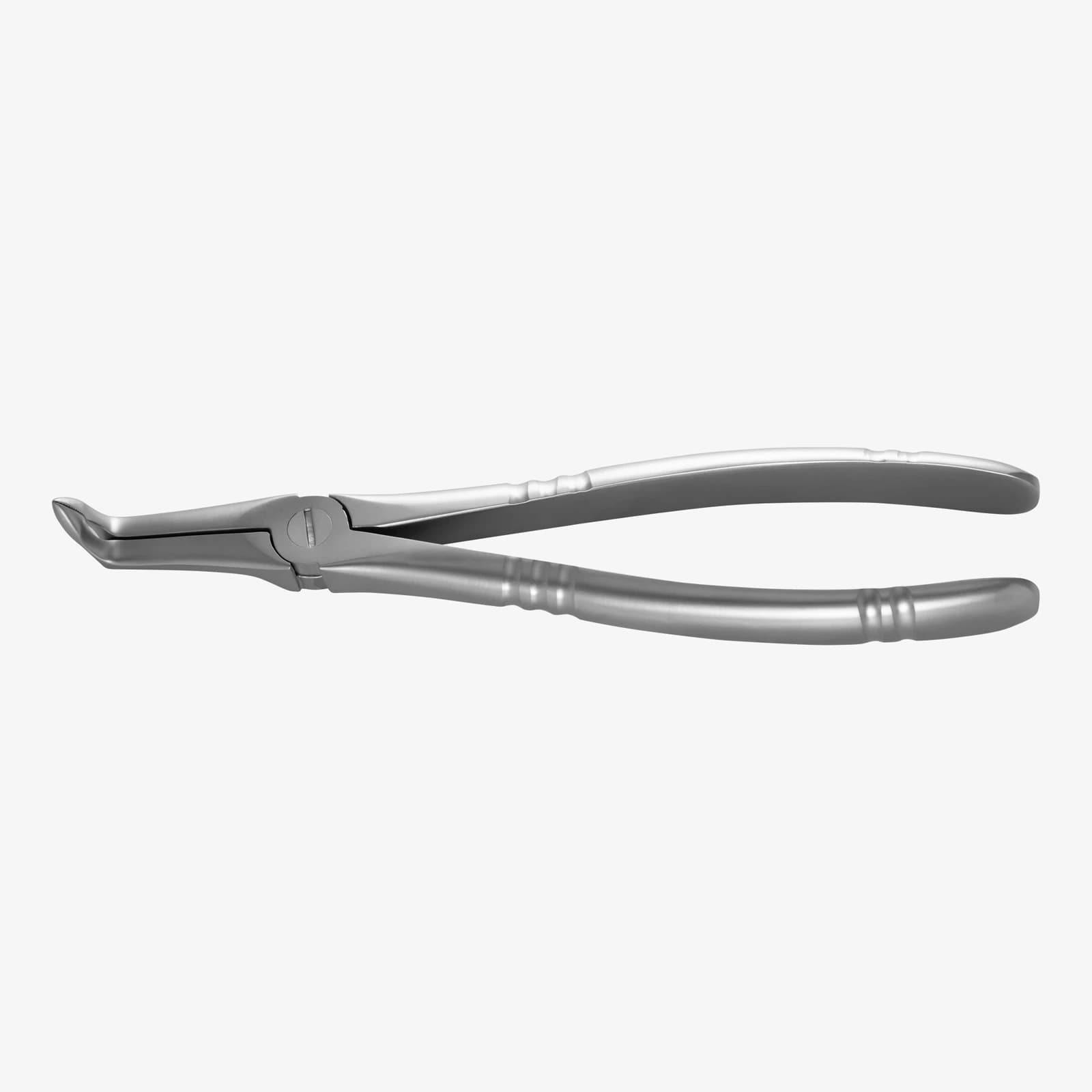 Universal Residual Root Forceps for Upper and Lower Jaw, Ergonomic – oficiali American Eagle produkto nuotrauka