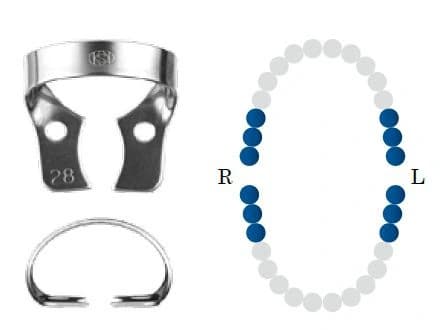 Koferdamo žiedas NF 28 glossy molar DENTECH – oficiali Dentech produkto nuotrauka