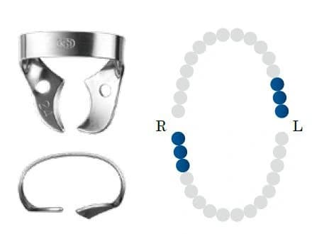 Koferdamo žiedas NF 24 glossy molar DENTECH – oficiali Dentech produkto nuotrauka