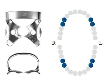 Koferdamo žiedas NF 206 glossy bicuspid DENTECH – oficiali Dentech produkto nuotrauka