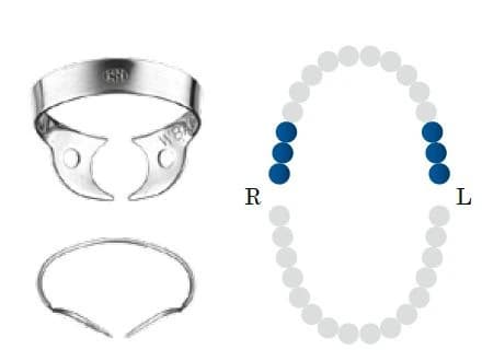 Koferdamo žiedas BF W8A black molar DENTECH – oficiali Dentech produkto nuotrauka