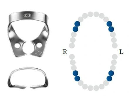 Koferdamo žiedas NF 27 glossy bicuspid DENTECH – oficiali Dentech produkto nuotrauka