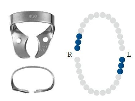 Koferdamo žiedas NF 25 glossy molar DENTECH – oficiali Dentech produkto nuotrauka