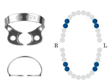 Koferdamo žiedas BF W2A black bicuspid DENTECH – oficiali Dentech produkto nuotrauka
