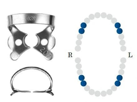 Koferdamo žiedas NF 207 glossy bicuspid DENTECH – oficiali Dentech produkto nuotrauka