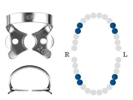 Koferdamo žiedas NF 208 glossy bicuspid DENTECH – oficiali Dentech produkto nuotrauka