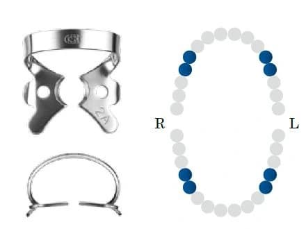 Koferdamo žiedas NF 2A glossy bicuspid DENTECH – oficiali Dentech produkto nuotrauka