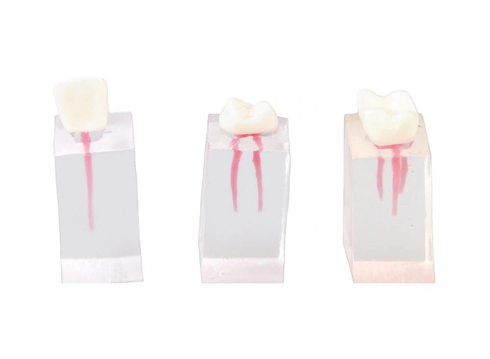 3 blokelių rinkinys paprastiems endodontiniams pratimams - oficiali GF Dental produkto nuotrauka