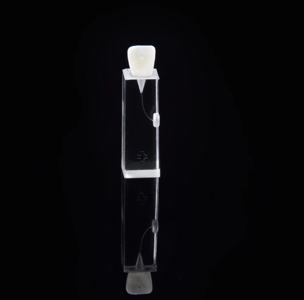 Skaidrus blokelis endodontiniams pratimams E10/C - oficiali GF Dental produkto nuotrauka
