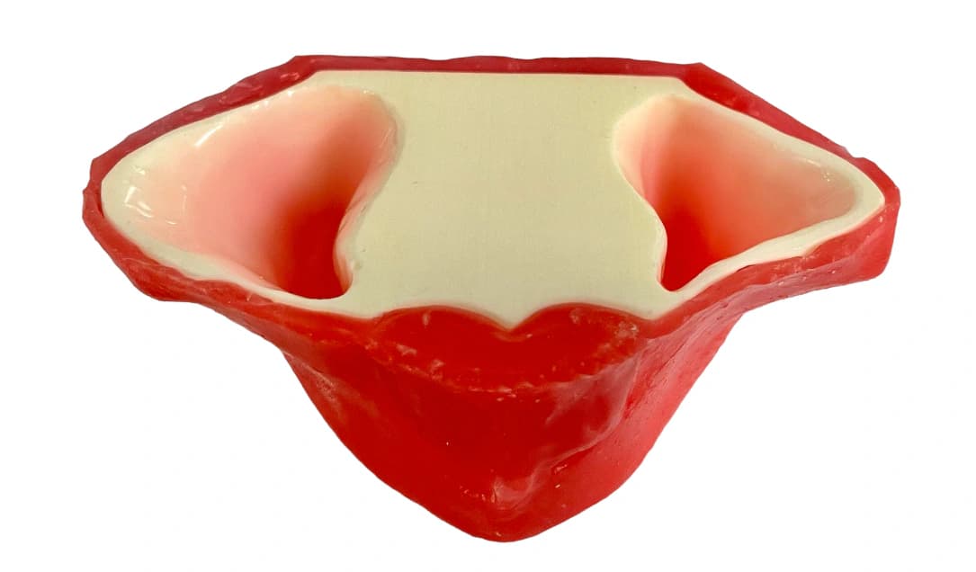 Bedantis viršutinio žandikaulio modelis su siuvamomis dantenomis - oficiali GF Dental produkto nuotrauka