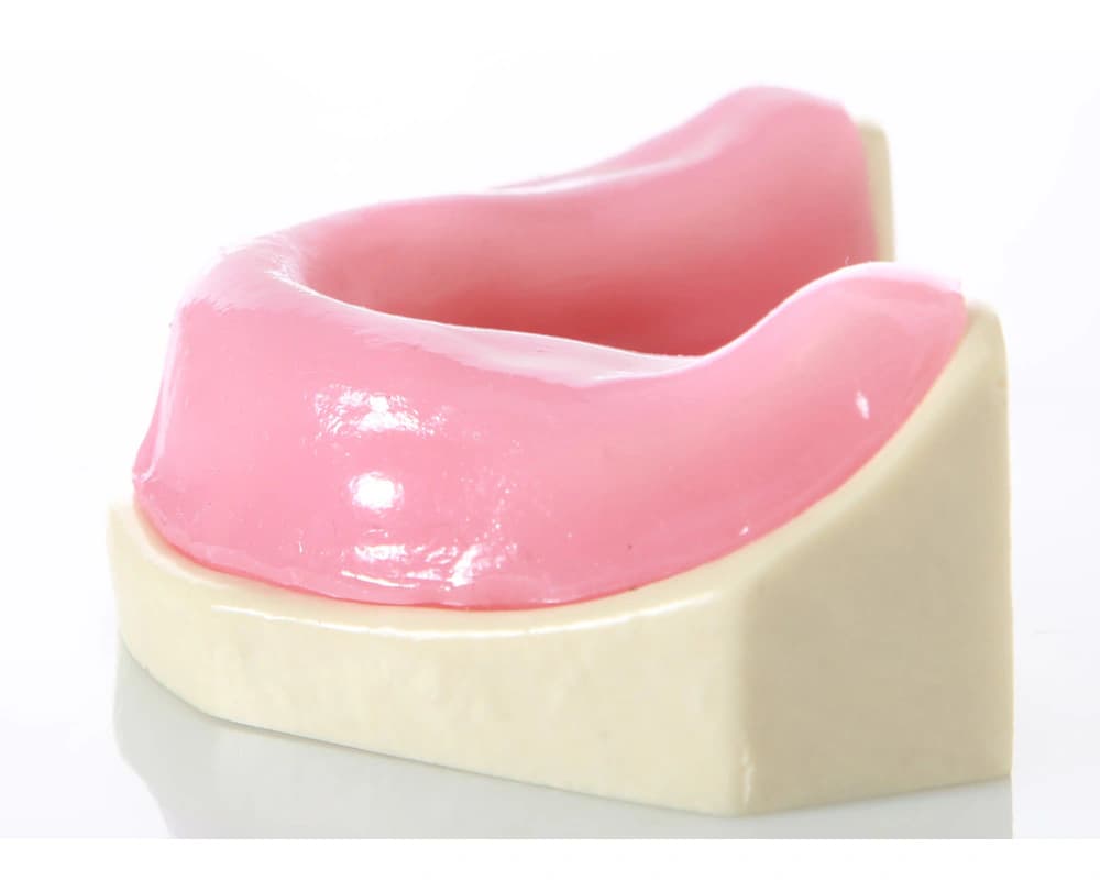 Bedantis apatinio žandikaulio modelis implantologijos pratimams - oficiali GF Dental produkto nuotrauka
