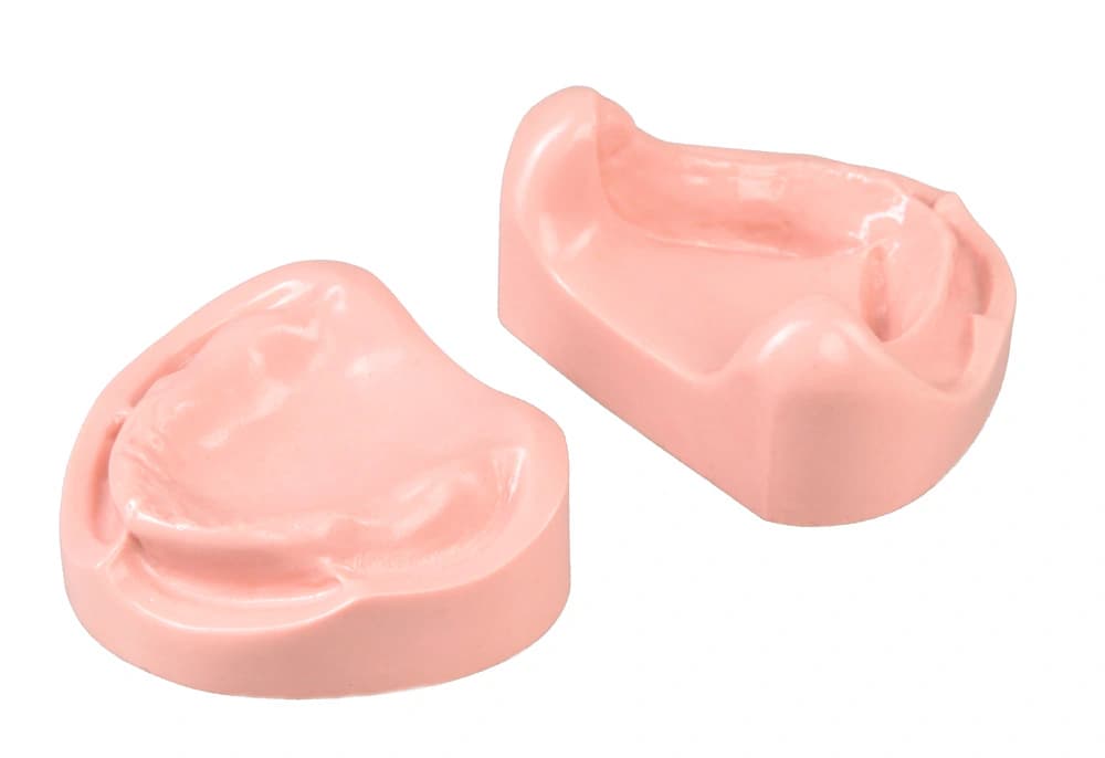 Kietas modelis protezavimo praktikai - oficiali GF Dental produkto nuotrauka