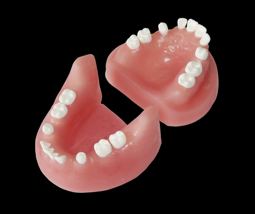 Chirurginės praktikos modelis su rovimui tinkamais dantimis - oficiali GF Dental produkto nuotrauka