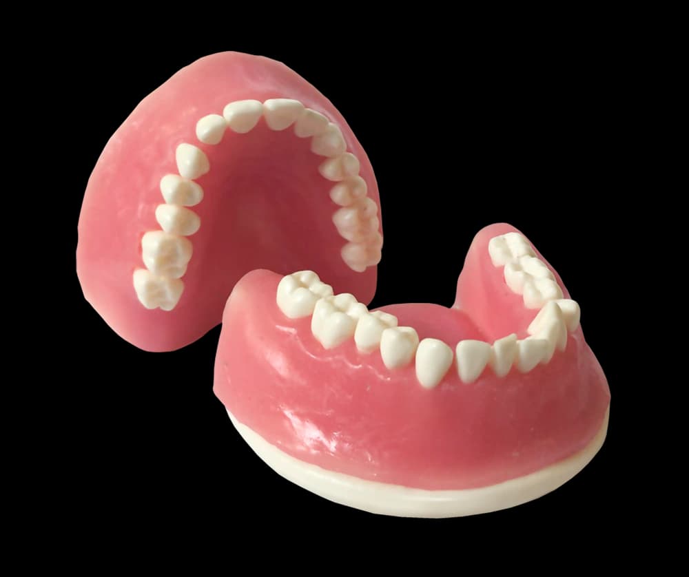 Periodontologinis modelis su fiksuotais dantimis ir siuvamomis dantenomis - oficiali GF Dental produkto nuotrauka