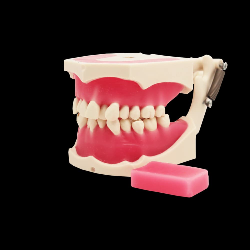 Ortodontinis simuliatorius - oficiali GF Dental produkto nuotrauka