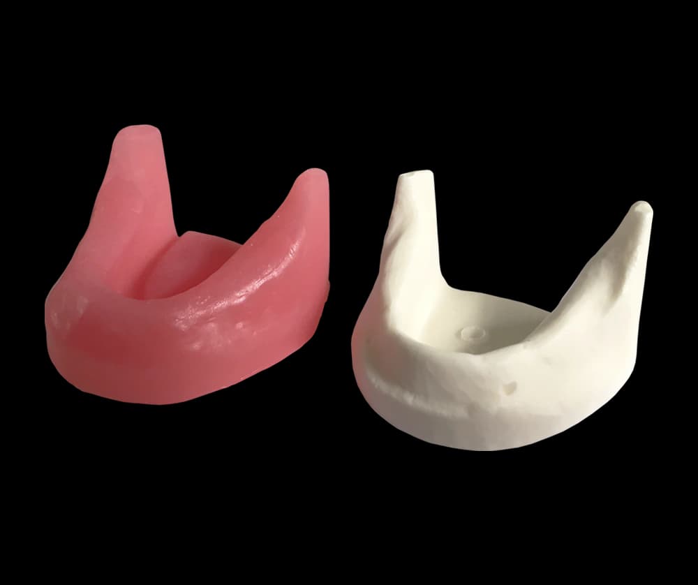 Sintetinio kaulo apatinio žandikaulio modelis su dantenomis - oficiali GF Dental produkto nuotrauka
