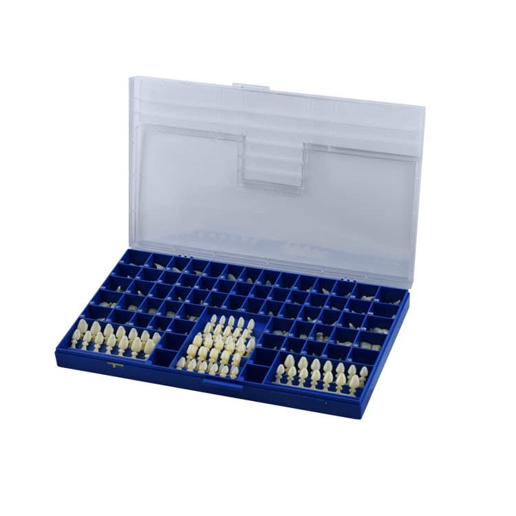 Polycarbonate temporary crowns kit with mould guide 3 x 60 pcs – oficiali Falcon Medical produkto nuotrauka