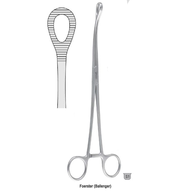 Forceps sponge Foerster (Ballenger) serrated straight 250mm – oficiali Falcon Medical produkto nuotrauka