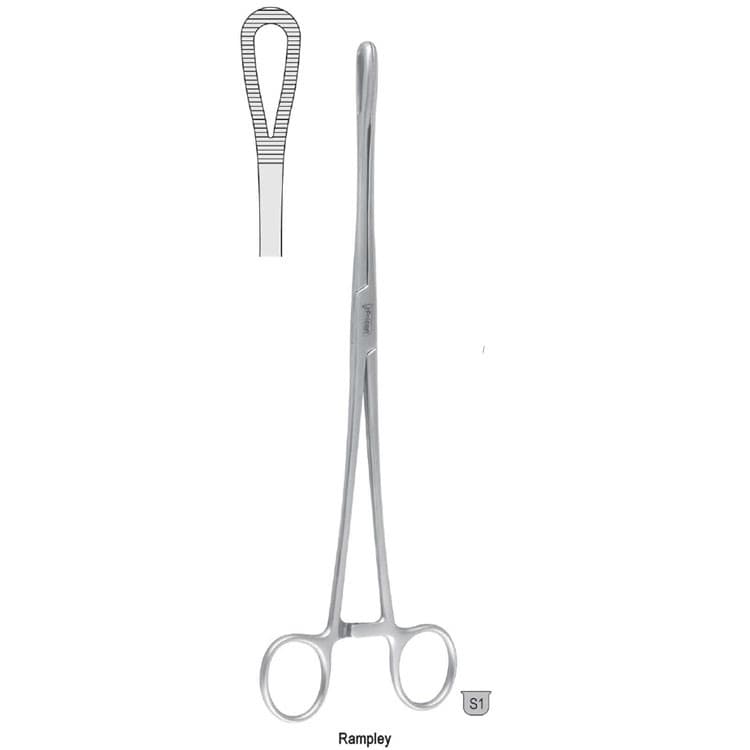 Forceps sponge Rampley 250mm – oficiali Falcon Medical produkto nuotrauka