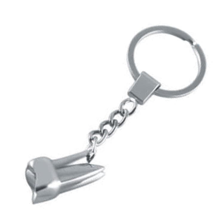 Dental key ring metal molar – oficiali Falcon Medical produkto nuotrauka