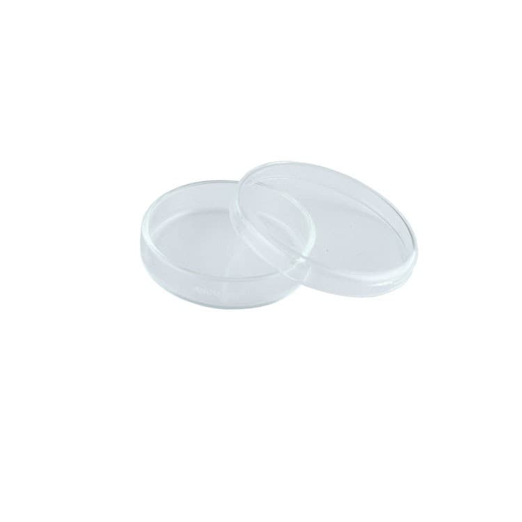 Glass Petri dish ø60x15mm – oficiali Falcon Medical produkto nuotrauka