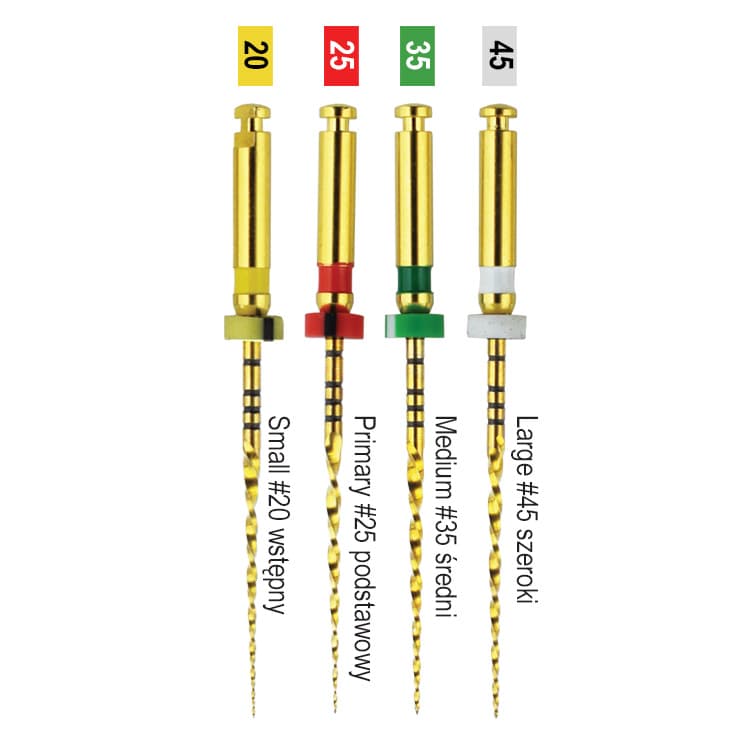 W+ rotary file Niti 21mm (6 pieces) – oficiali Falcon Medical produkto nuotrauka