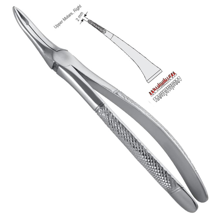 Extracting forceps European pattern fig. 349 – oficiali Falcon Medical produkto nuotrauka