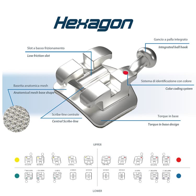 Hexagon bracket Roth .022″ slot, lower – oficiali Falcon Medical produkto nuotrauka
