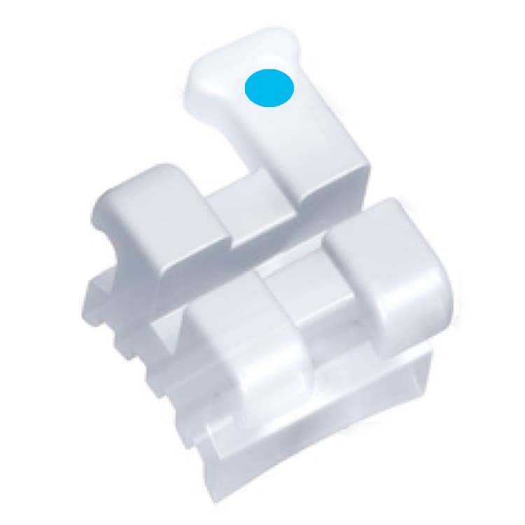 RAV composite brackets kit Roth .018″ slot, hooks on 3, 4 & 5 (20 pieces) – oficiali Falcon Medical produkto nuotrauka