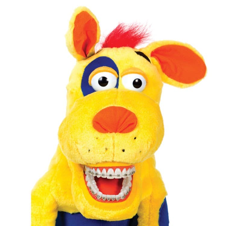 Star-Smilez regular Ollie Z. Mutt with braces – oficiali Falcon Medical produkto nuotrauka