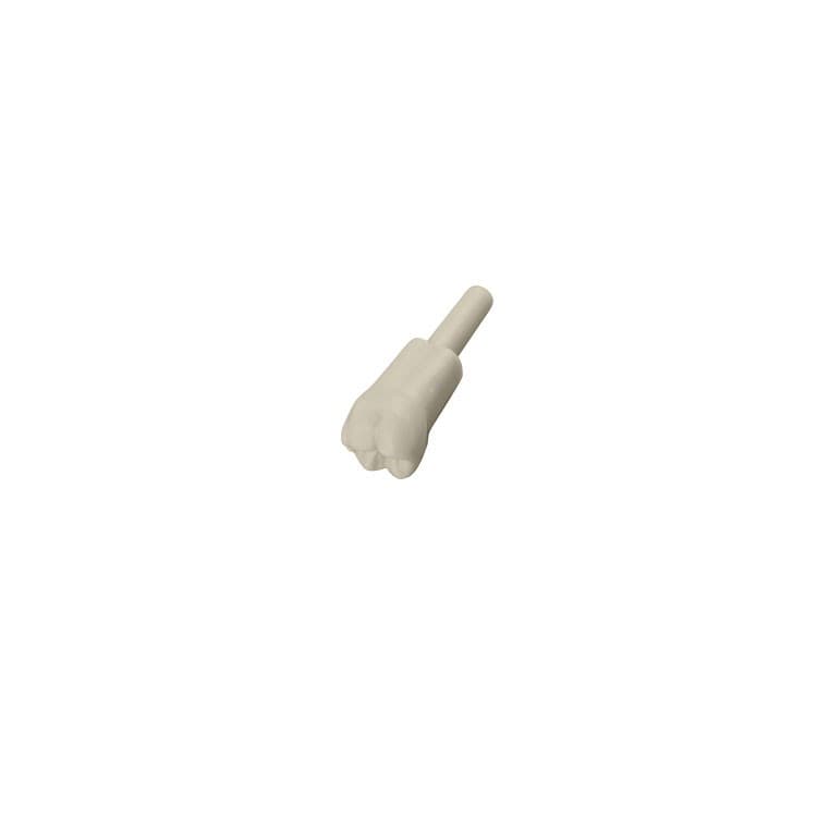 Kavo fantom teeth 36 – oficiali Falcon Medical produkto nuotrauka