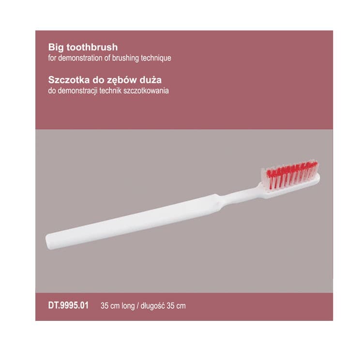 Big toothbrush 35cm – oficiali Falcon Medical produkto nuotrauka