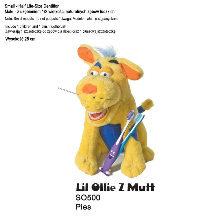 Star-Smilez Small Lil Ollie Z Mutt – oficiali Falcon Medical produkto nuotrauka