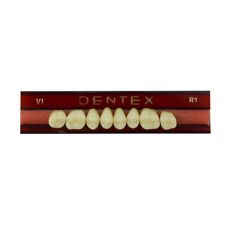 Acrylic teeth upper posteriors no VI , color R1, 8 pieces – oficiali Falcon Medical produkto nuotrauka