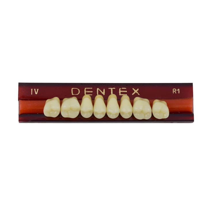 Acrylic teeth upper posteriors no IV , color R1, 8 pieces – oficiali Falcon Medical produkto nuotrauka