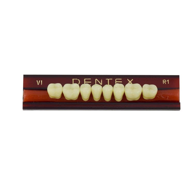 Acrylic teeth lower posteriors no VI , color R1, 8 pieces – oficiali Falcon Medical produkto nuotrauka