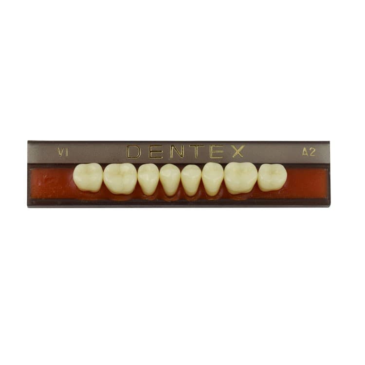 Acrylic teeth lower posteriors no VI , color A2, 8 pieces – oficiali Falcon Medical produkto nuotrauka