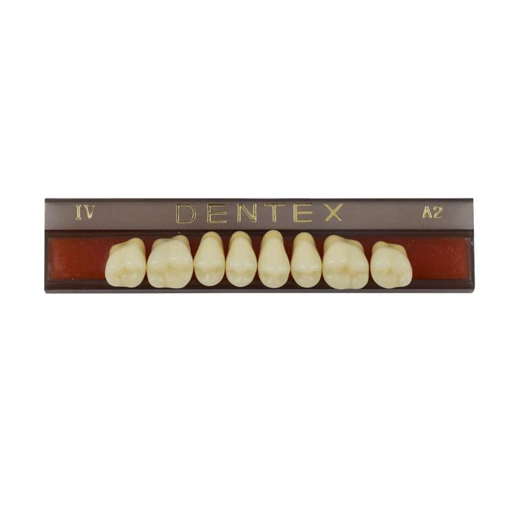 Acrylic teeth upper posteriors no IV , color A2, 8 pieces – oficiali Falcon Medical produkto nuotrauka