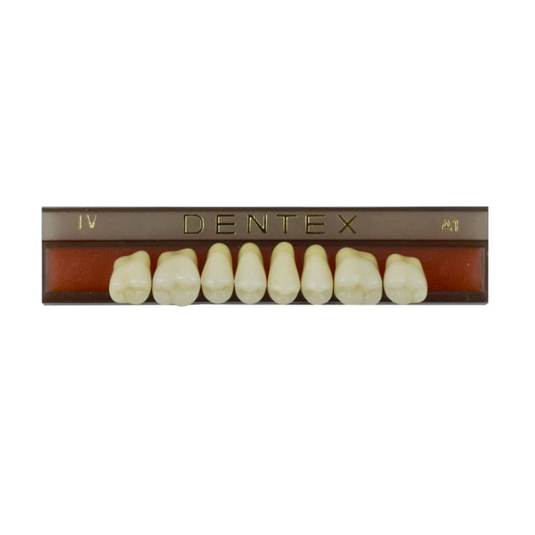 Acrylic teeth upper posteriors no IV , color A1, 8 pieces – oficiali Falcon Medical produkto nuotrauka