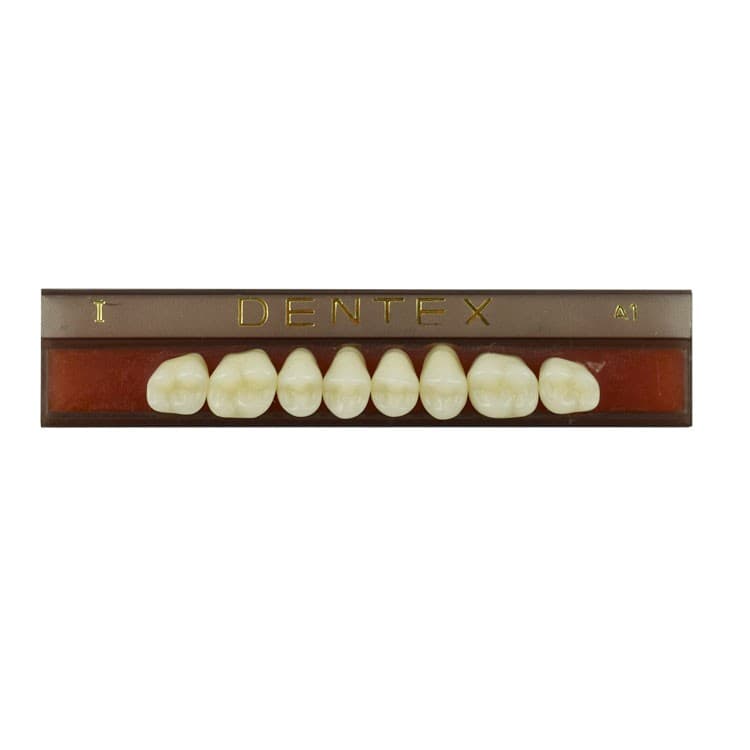 Acrylic teeth upper posteriors no I , color A1, 8 pieces – oficiali Falcon Medical produkto nuotrauka