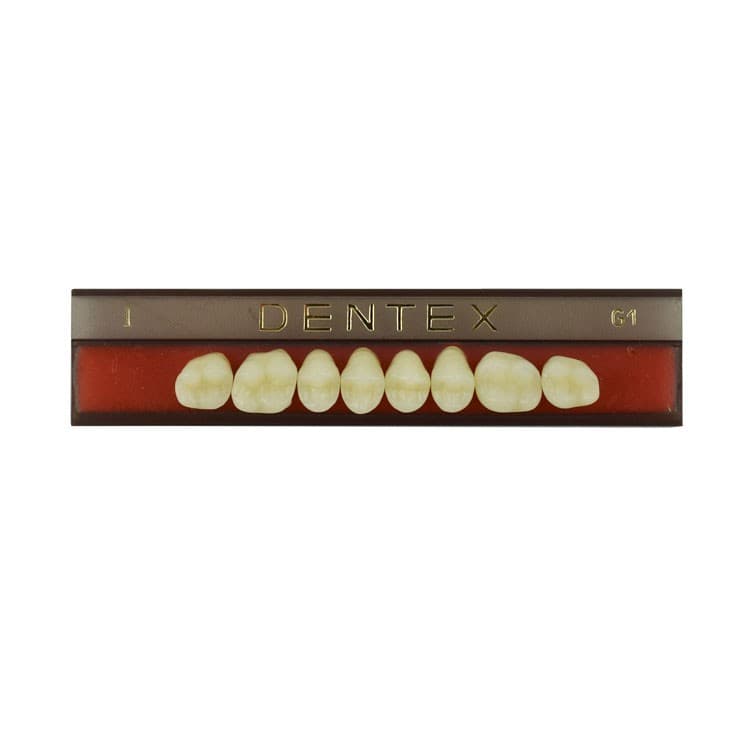 Acrylic teeth upper posteriors no I , color G1, 8 pieces – oficiali Falcon Medical produkto nuotrauka