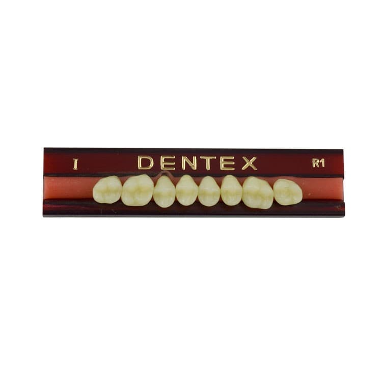 Acrylic teeth upper posteriors no I , color R1, 8 pieces – oficiali Falcon Medical produkto nuotrauka