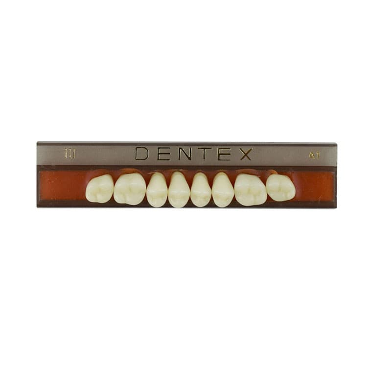 Acrylic teeth upper posterIIors no II , color A1, 8 pieces – oficiali Falcon Medical produkto nuotrauka