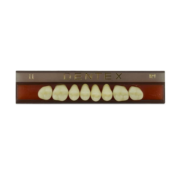 Acrylic teeth upper posteriors no II , color R1, 8 pieces – oficiali Falcon Medical produkto nuotrauka