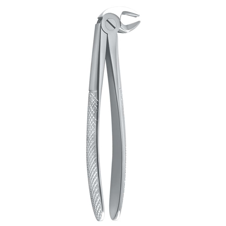 Extraction forceps European pattern Petite lower molars fig. 22 – oficiali Falcon Medical produkto nuotrauka