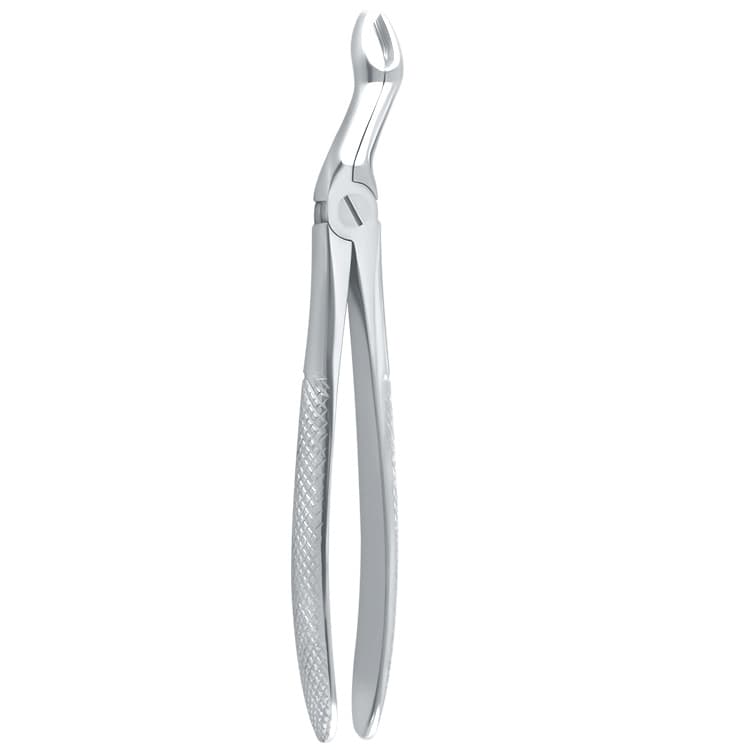 Extraction forceps European pattern Petite upper third molars fig. 67A – oficiali Falcon Medical produkto nuotrauka