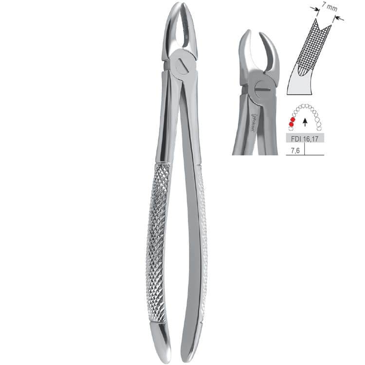 Extraction forceps European pattern fig. 89 – oficiali Falcon Medical produkto nuotrauka