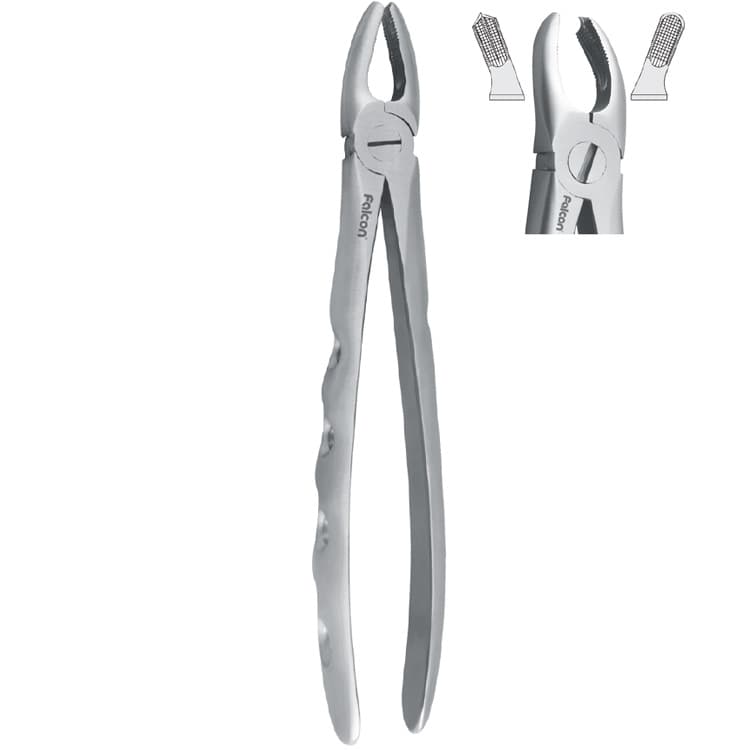 Extraction forceps with anatomical handle fig. 17 – oficiali Falcon Medical produkto nuotrauka